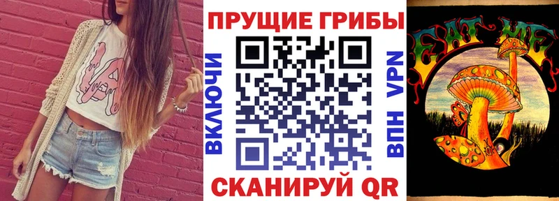 Купить где  Устюжна  Галлюциногенные грибы Psilocybine cubensis 